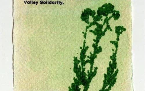 🎤🇵🇸Soirée de soutien pour/avec Jordan valley Solidarity🇵🇸🎤