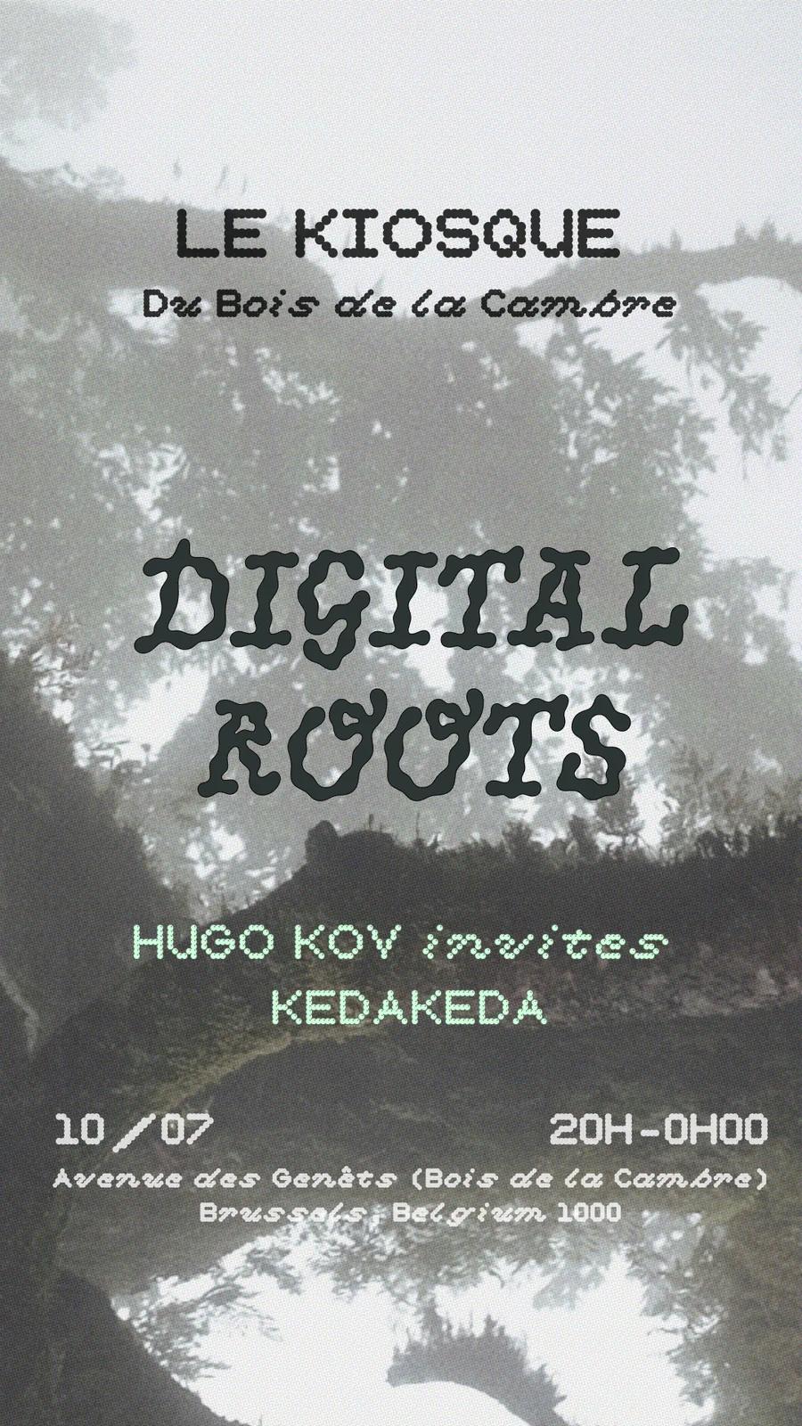 Digital Roots
