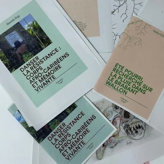 Éclats de danse – Deux voyages pour lire la danse