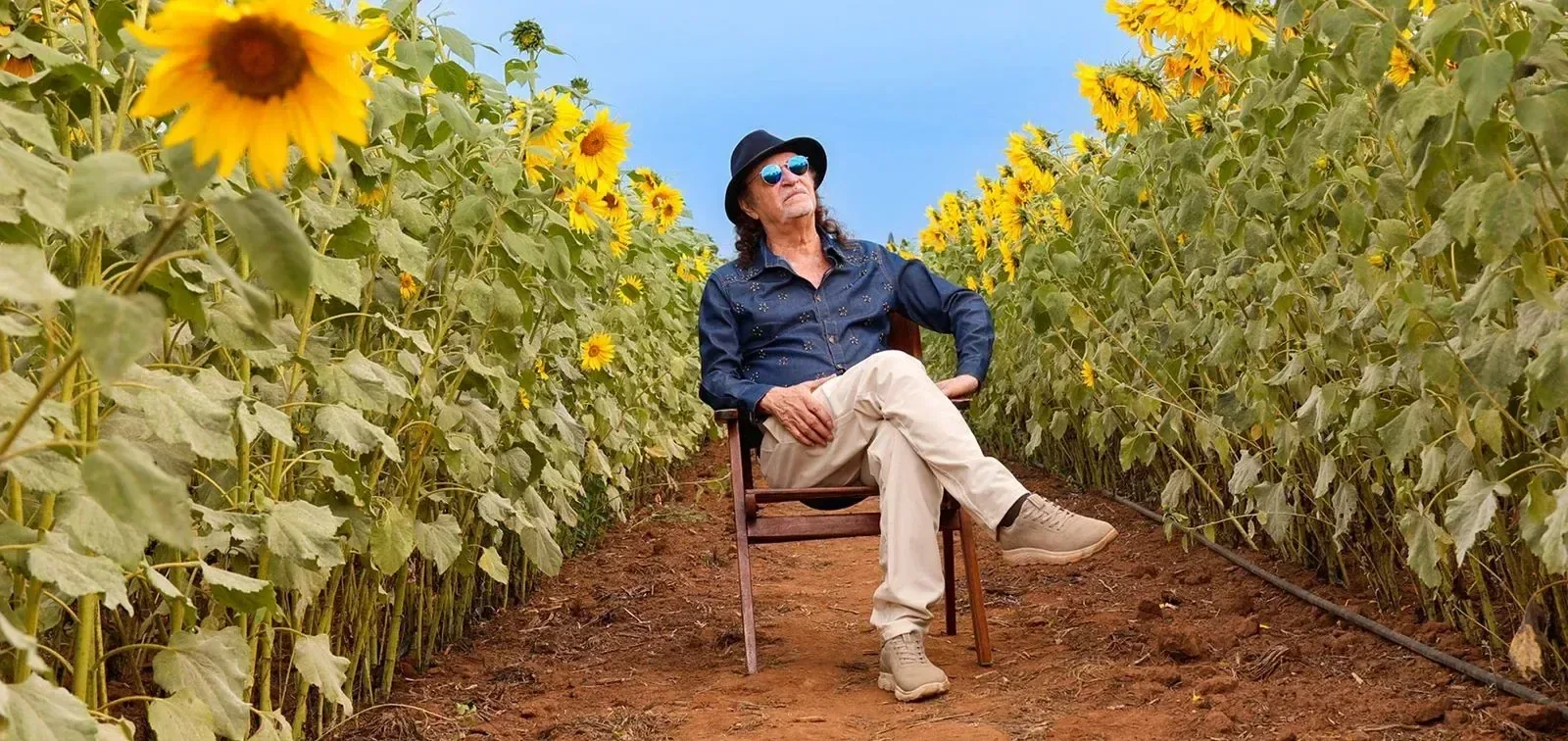 Alceu Valença – 80 Sunflowers