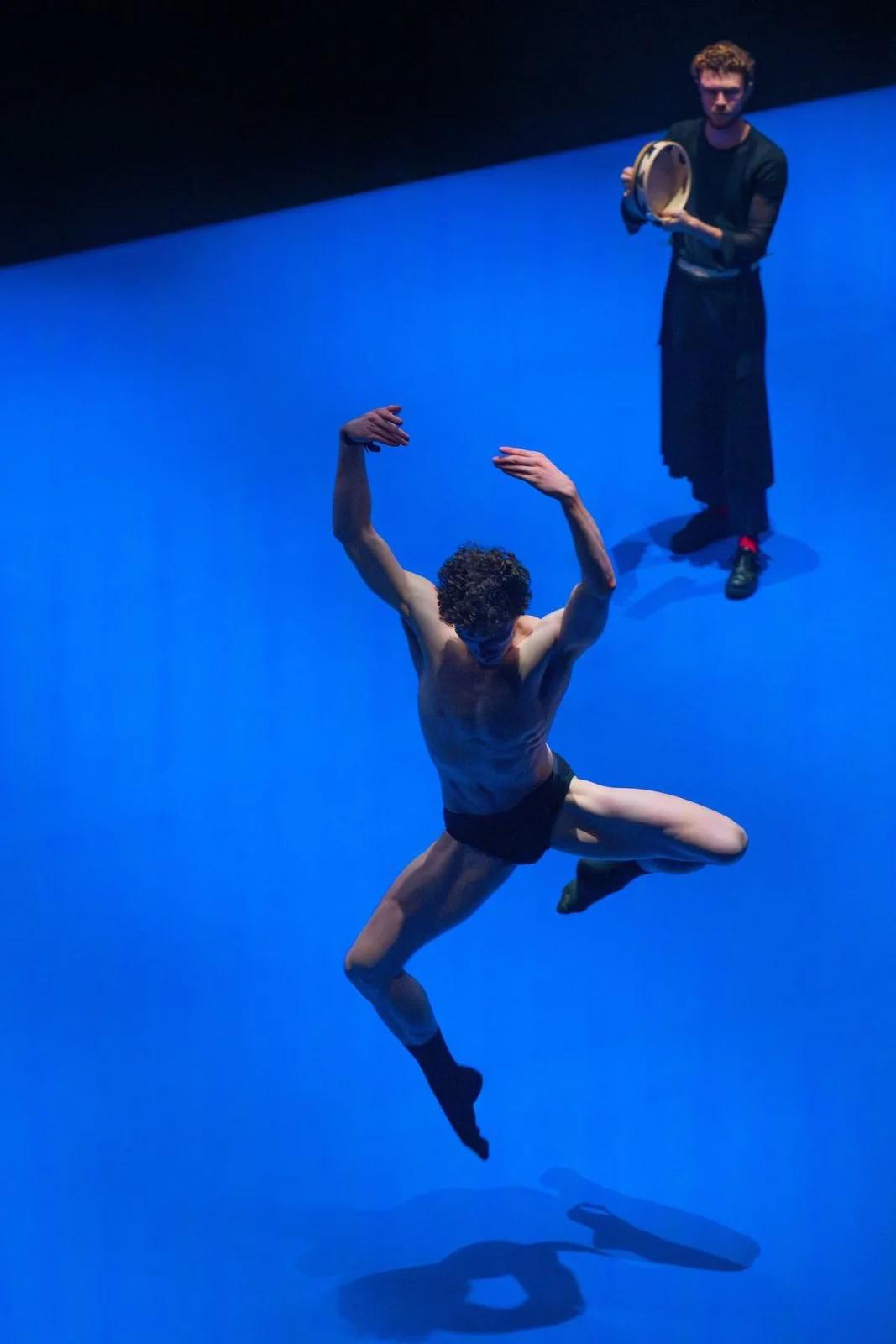 Het TheaterFestival 2026: Chapters of Celebration