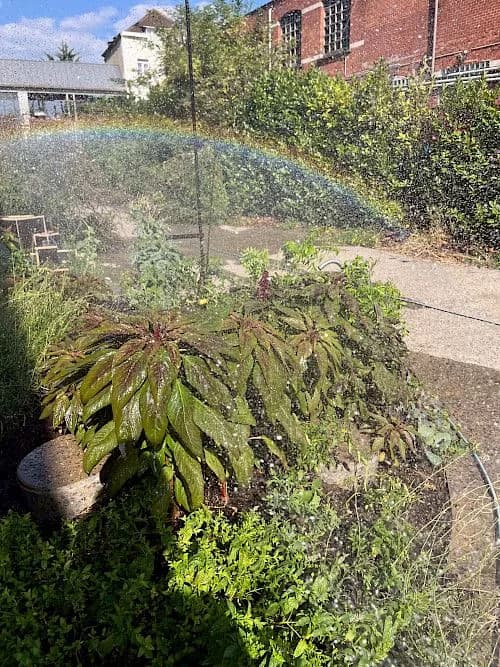 Garden Session