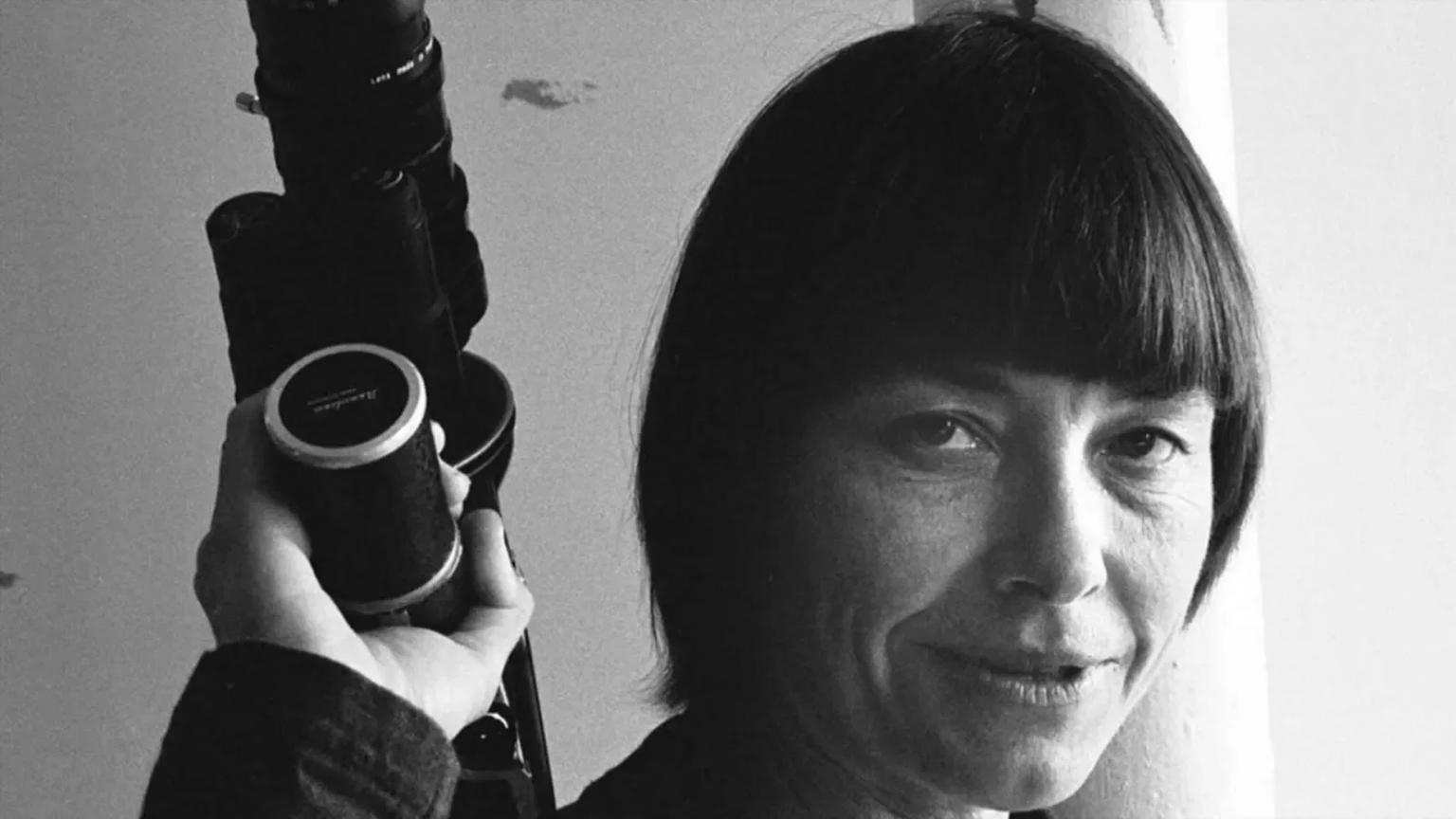 Barbara Hammer: A Queer Archive of the Self