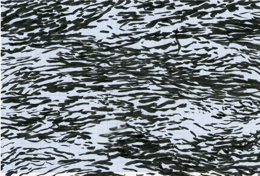 Drawing Water : Mark Dion, Klara Hobza, J.J. Seinen, Filip Van Dingenen