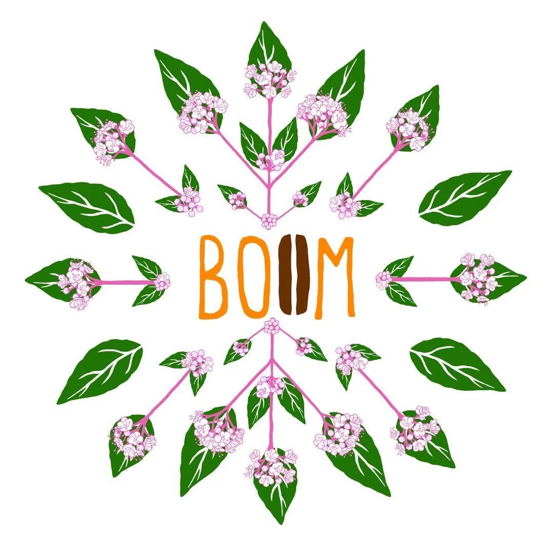 Boom Café