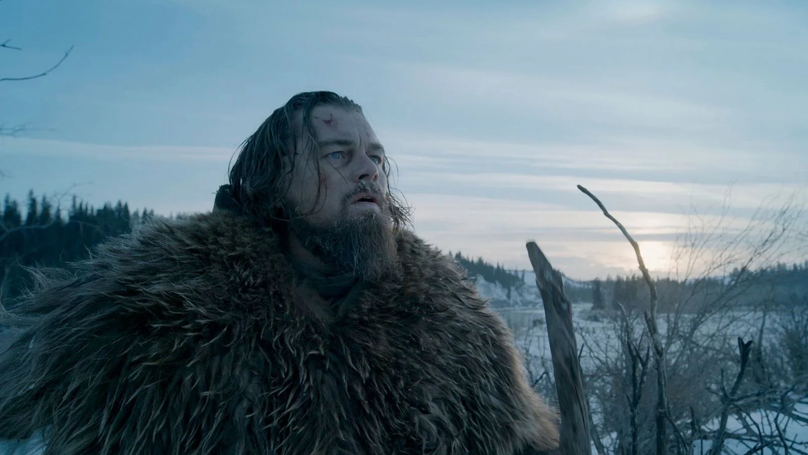 The Revenant