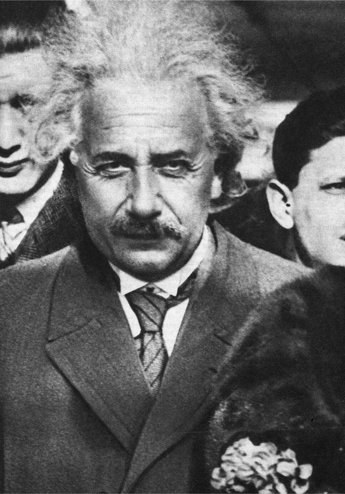 EINSTEIN AU COQ