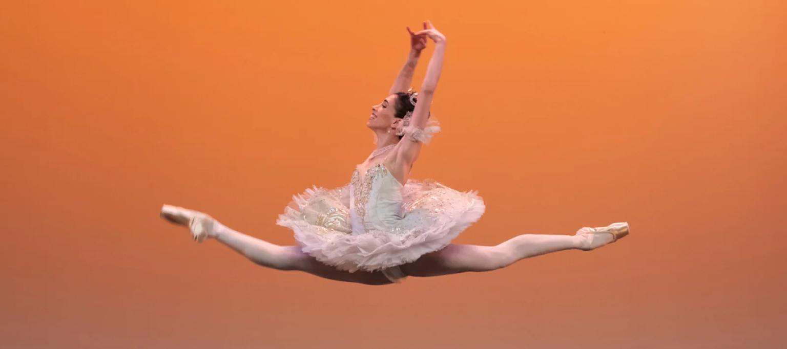 Estivales de la Danse