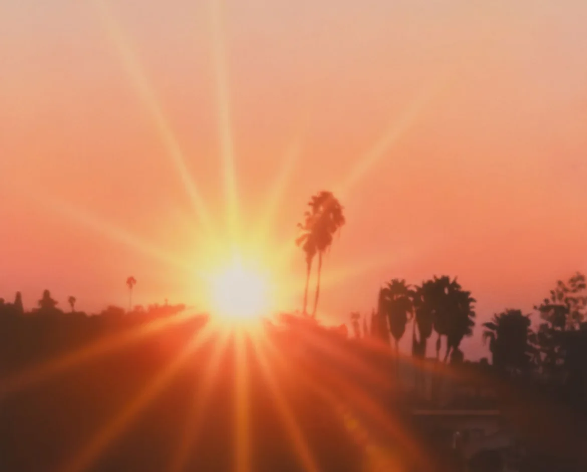 Sayre Gomez - 'Sim City'