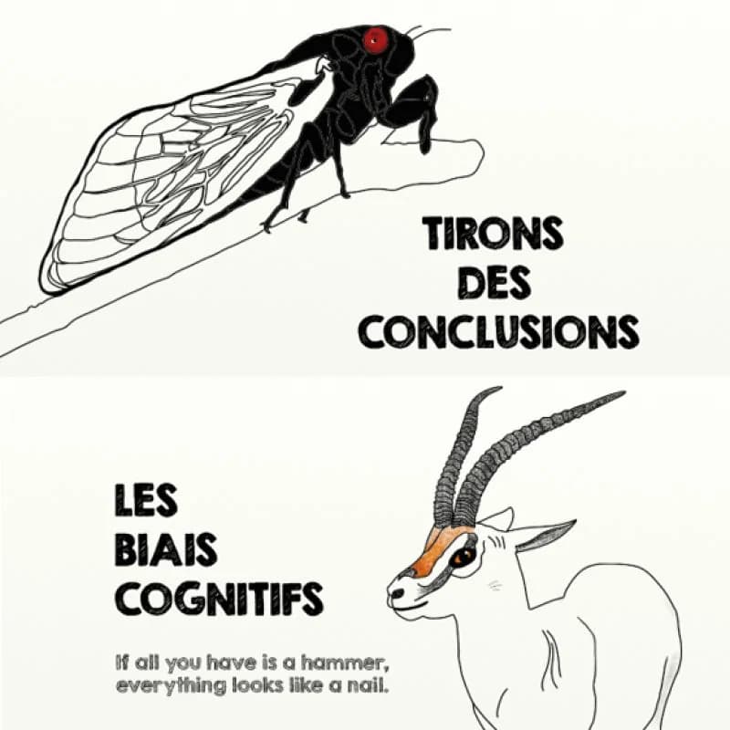 Les Conférences