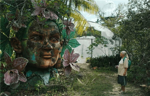 Cuisinema Brazilië: The Blue Trail