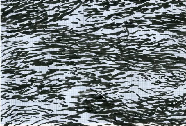 Drawing Water : Mark Dion, Klara Hobza, J.J. Seinen, Filip Van Dingenen
