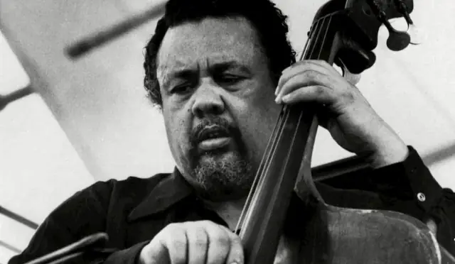 A beginner's guide to Charles Mingus door Guy Peters