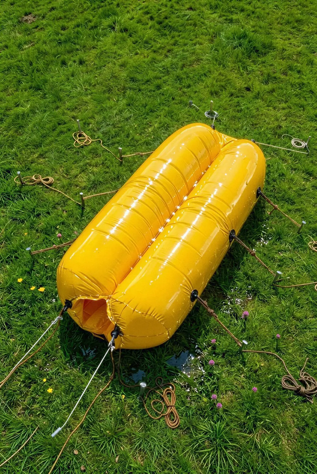 Endless Summer Camp