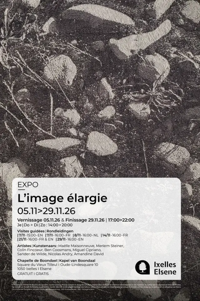 L’image élargie