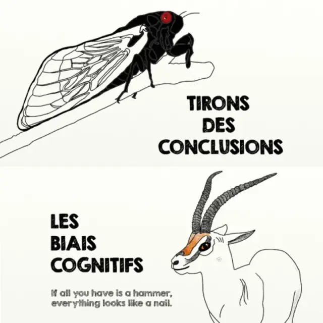 Les Conférences