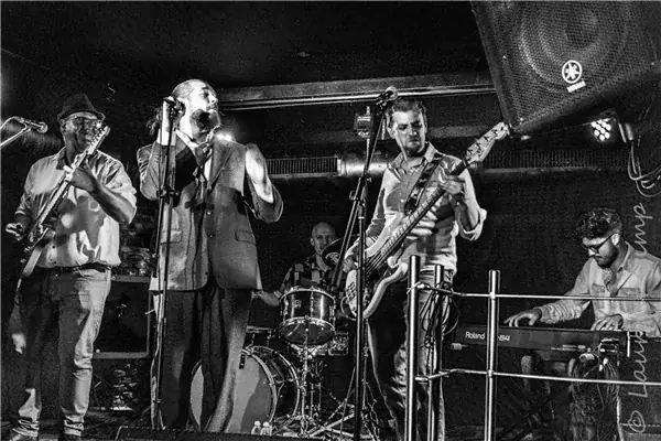 Concert The Blueseleirs